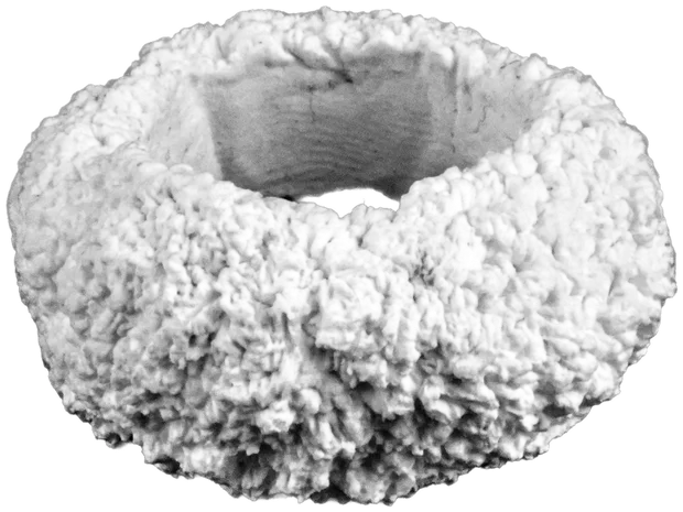 Selected jewelry piece 6