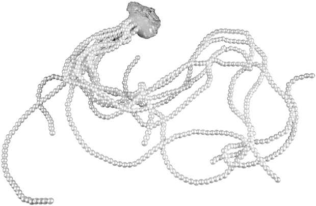 Selected jewelry piece 14