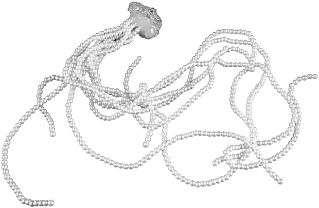 Selected jewelry piece 14